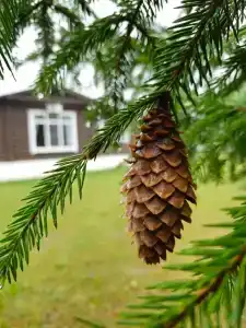 Усадьба Александрово - 8