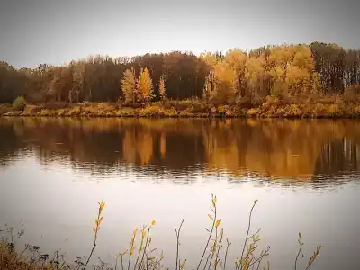 Пчелинцево - 53