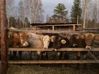 Каникулы на Люнде - 9