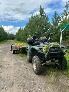 Лукоморье - 50