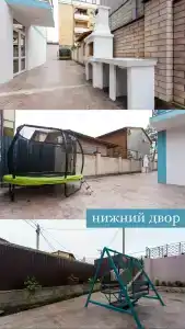 Мангостин - 7