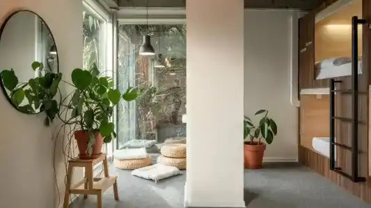 Plants & Friends Hostel - 7