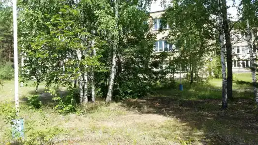 Волна - 33
