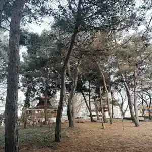 Евпаторийский детский клинический санаторий - 32