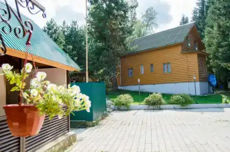 Березовая роща - 30