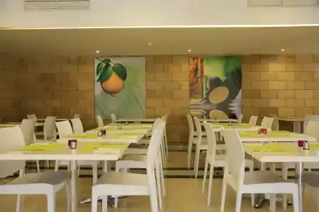 Papouis Protaras ex smartline Protaras - 23