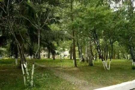 Звездный - 17