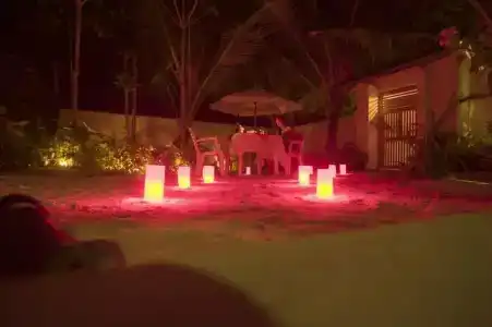 Palm Garden - 45