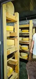 Деревня Сыроваров - 24
