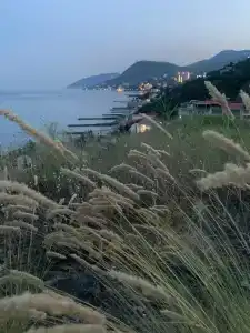 Алушта - 14