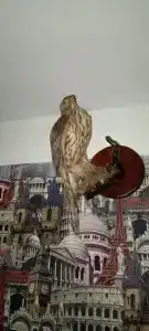 Медвежий угол - 17