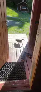 Хуторок у Сан Саныча - 80