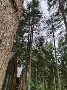 Barn&Wood - 41