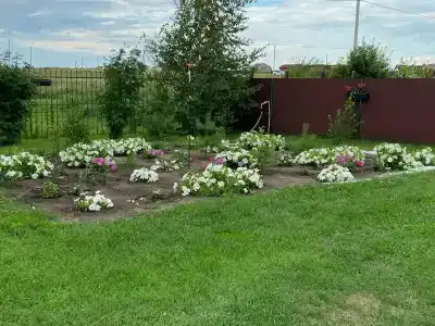 Светлячок - 4