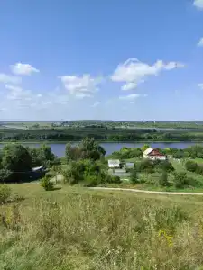 LesDankin - 9