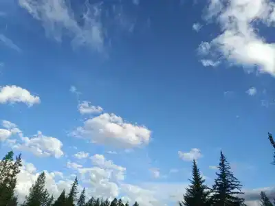 Ясная поляна - 14