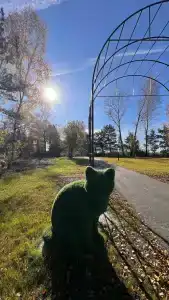 Лукоморье - 20