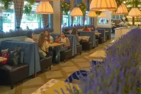 InSochi - 62