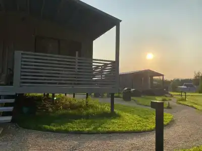 Елли и Пелли - 43