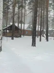 Дача Сосны-Лес - 27