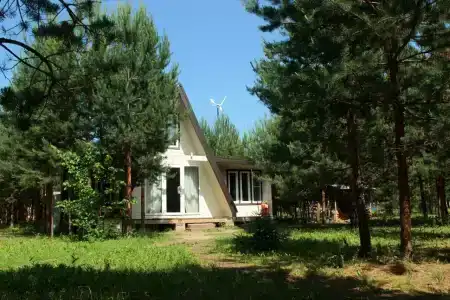 Пчелинцево - 75