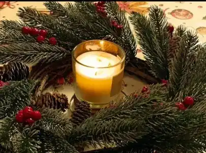 в деревне - 46