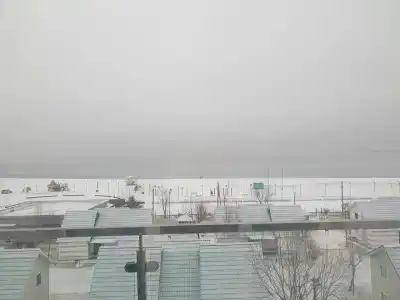 Звезда моря - 74