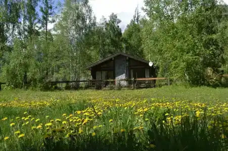 Высотник - 12