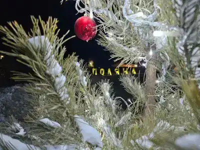 Поляна - 38