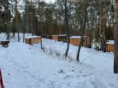 Суеты. нет - 1