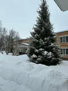 Хатунь - Звездочка - 20