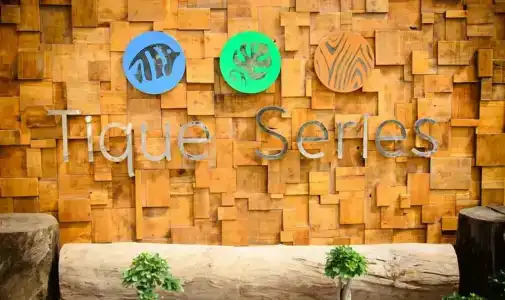 Tique Series Boutique - 3