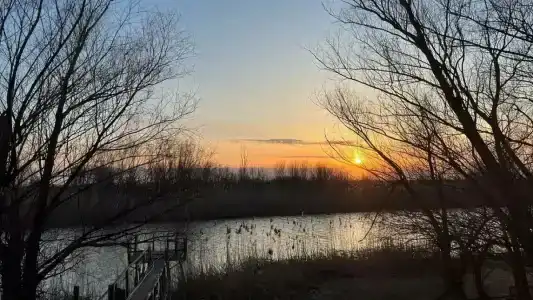 Квартет 3077 - 46