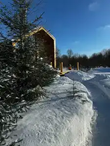 Глэмпинг Zefirka Camp - 84