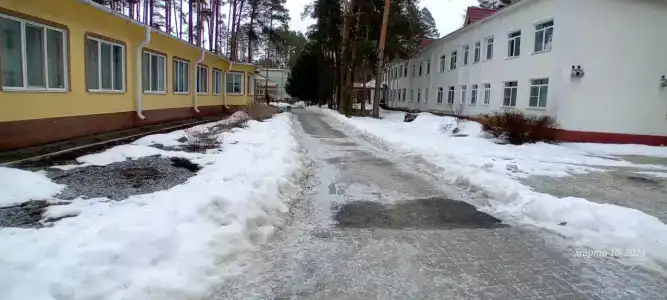 Синезерки - 7