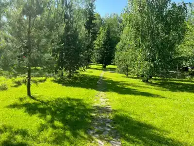 Мон Плезир - Парк - 1