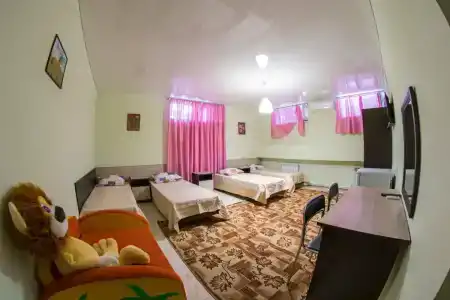 Кипарис - 22