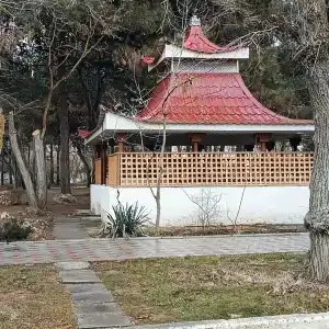 Евпаторийский детский клинический санаторий - 80