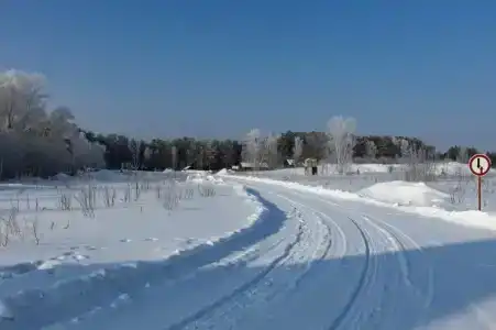 Лесной отель Берендей - 11