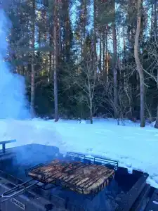 Лес Вокруг - 47