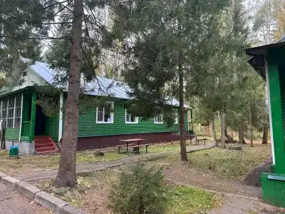 Сосновый берег - 96
