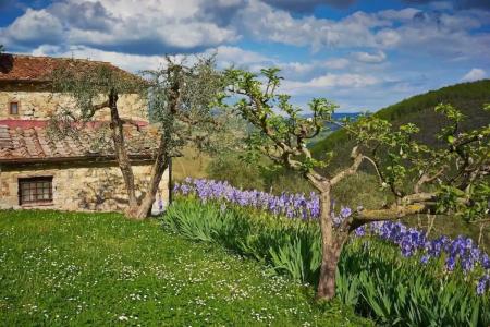 Querceto Di Castellina - 52