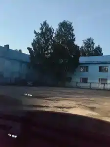 Лесная - 7