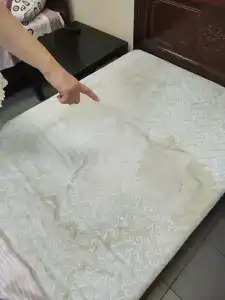 Ласточкино гнездо - 27