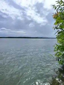 Дом на Волге - 24