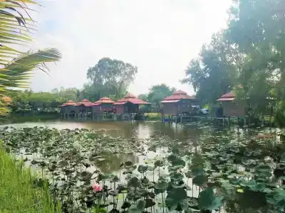 Sarocha Rayong - 35