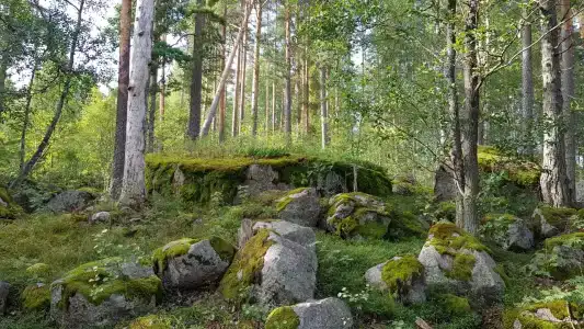 Вуокса Тур Кемпинг - 3