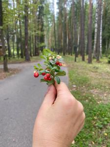 Жемчужина Золотого кольца - 46