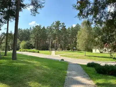 Пралеска - 27