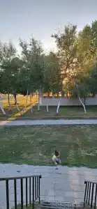 Тишанка - 88